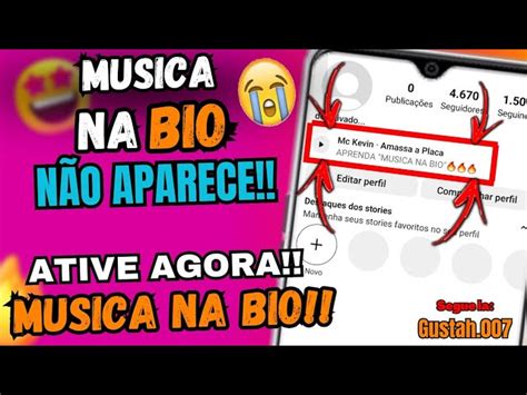 MÚSICA NA BIO NÃO APARECE Aprenda a Ativar a função passo Descubra