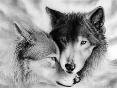 Wolves gif wolves discover share gifs – Artofit