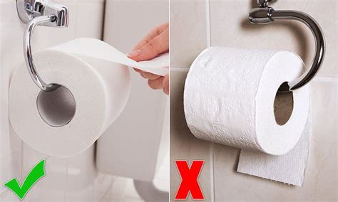 Heated Debate Sparked Over The Correct Way To Hang Toilet Paper