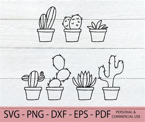 Cactus Png Cactus Clipart Flower Svg Flower Clip Cacti Cactus