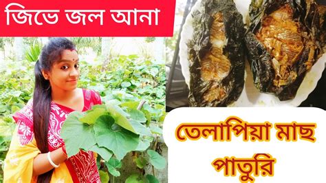 দেশি লাউ পাতা দিয়ে বানিয়ে ফেলুন সুস্বাদু তেলাপিয়া মাছের পাতুরি।lau