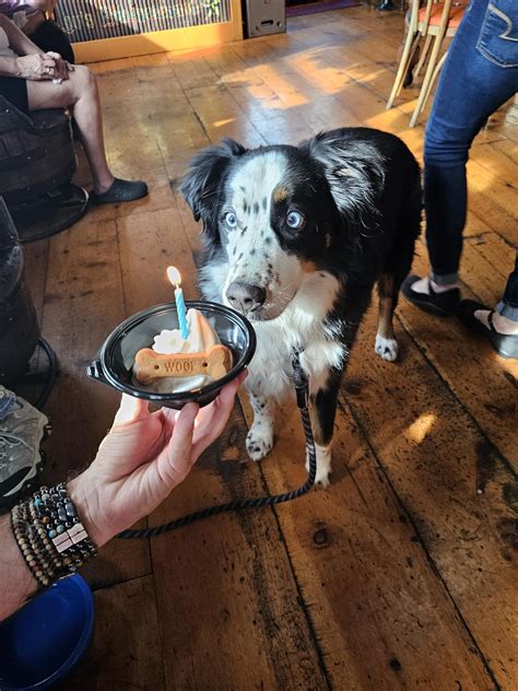 Buyers are competing over zillow berkeley springs wv mountain cabins 12