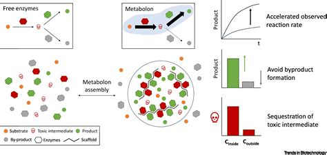 Phase Separated Biomolecular Condensates For Biocatalysis Trends In