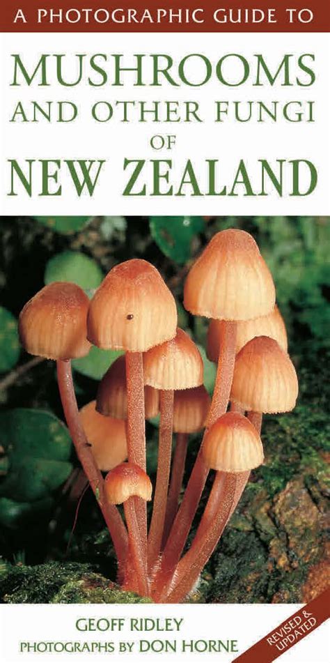 A Photographic Guide To Mushrooms Other Fungi Of New Zealand