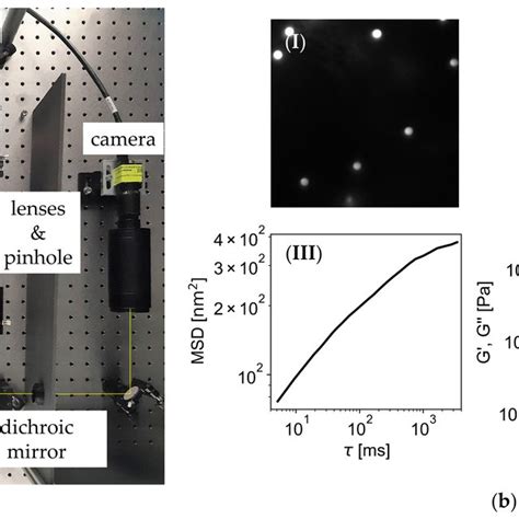 Particle Tracking Microrheology A Measurement Setup A Laser Beam