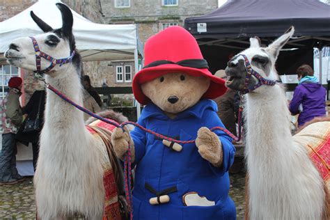 Paddington Bear Meeting Compatriots from Darkest Peru