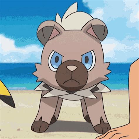 Rockruff Mad  Rockruff Mad Pokemon Discover And Share S