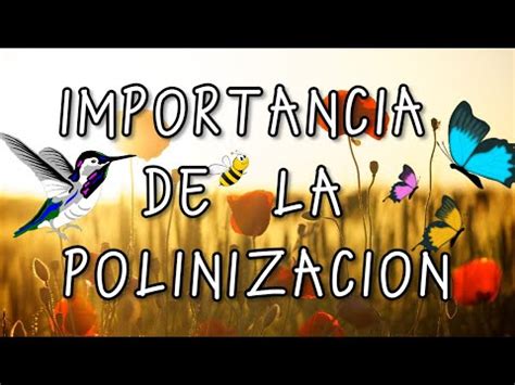 TOMi.digital - Polinización de las abejas.