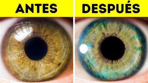 Cosas Que Pueden Cambiar El Color De Tus Ojos Youtube