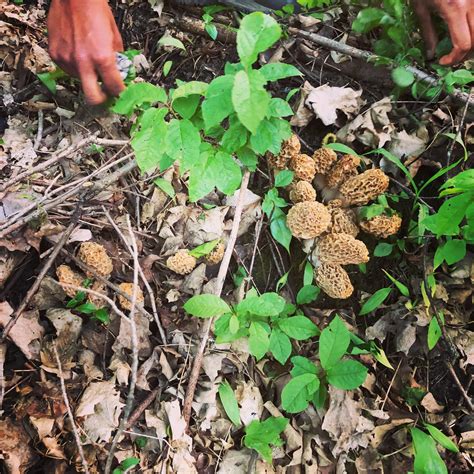 Best Secret Spot Images On Pholder Camping Earth Porn And Flyfishing