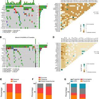 The Mutational Landscape And Molecular Subtypes Of Samples With High