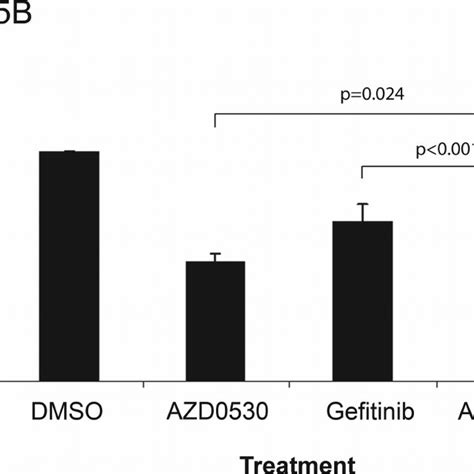 Proliferation Assay Of Hnscc Cell Lines Treated With Azd0530 Andor