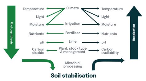 The Science Of Soil Carbon New Zealand Agricultural Greenhouse Gas