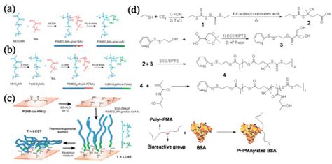 Polymers Special Issue Precision Polymer Synthesis