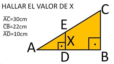 Descubre el Teorema de Tales para triángulos rectángulos