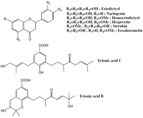 Molecules Free Full Text Anti Inflammatory Activity Of Natural Products