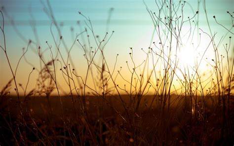 Wallpaper Sunlight Landscape Depth Of Field Sunset Water Sky