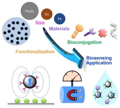 Sensors Free Full Text Biosensing Using Magnetic Particle Detection