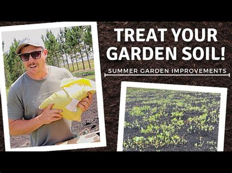 The BEST WAY To IMPROVE YOUR GARDEN This Summer YouTube