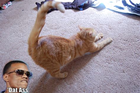 Image Dat Ass Know Your Meme