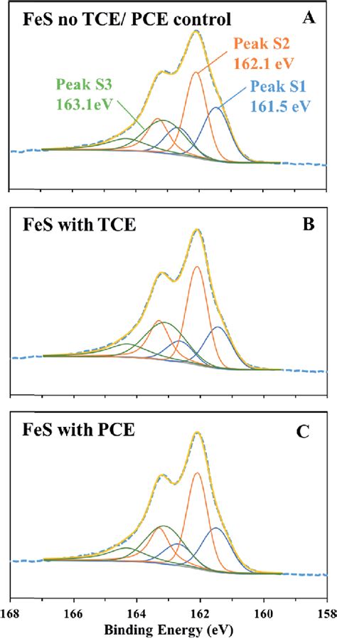 The S 2p Xps Spectra Of Fes Surface At Seven Weeks A Fes No Tcepce Download Scientific