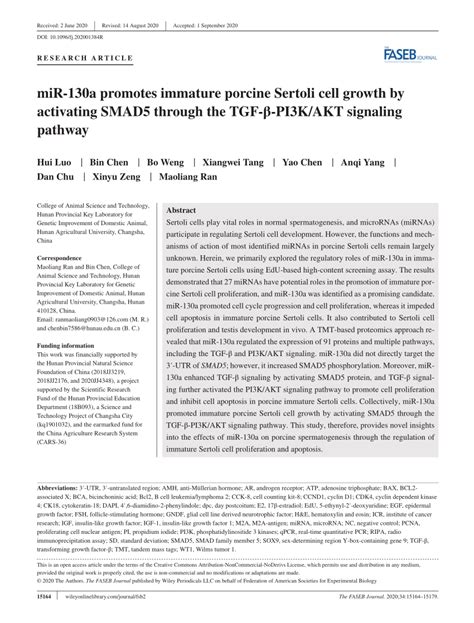 Pdf Mir A Promotes Immature Porcine Sertoli Cell Growth By