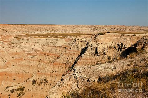 Fossil Exhibit Trail Badlands National Park Photograph by Fred Stearns