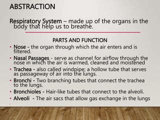 Breathing System.ppt