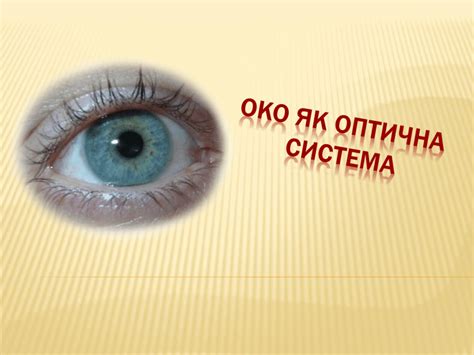 Людське око: будова, функції та дефекти зору