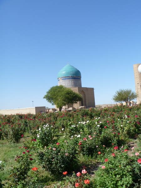 Группа компаний Пионер. Предлагает своим клиентам полный комплекс ...