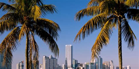 Discover Miami with our Travel Guide