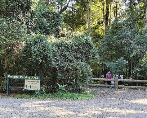 THE BEST Things to Do in Bunya Mountains - Tripadvisor