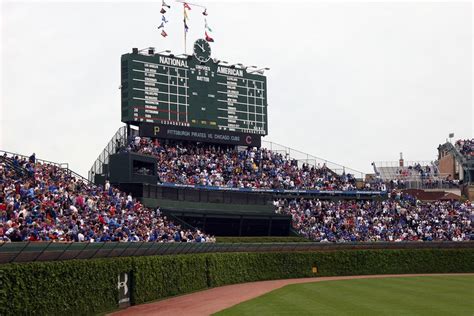 Cubs Bleacher Seats Rules Review Home Decor