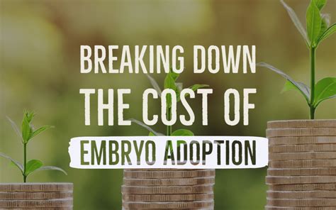 Breaking Down The Cost Of Embryo Adoption And Donation Embryo