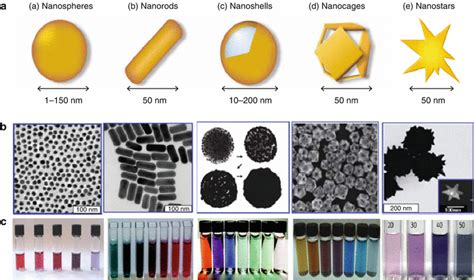 Gold Nanomaterials As Prospective Metal Based Delivery Systems For Cancer Treatment Springerlink