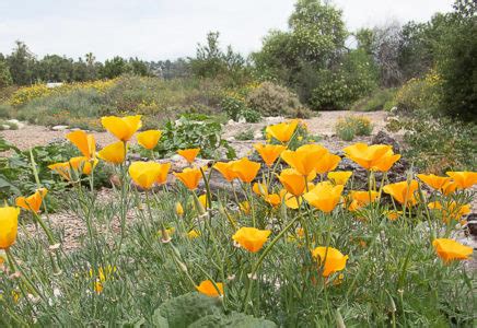 South Pasadena Public Library Summer Reading Program Wraps Up | The ...