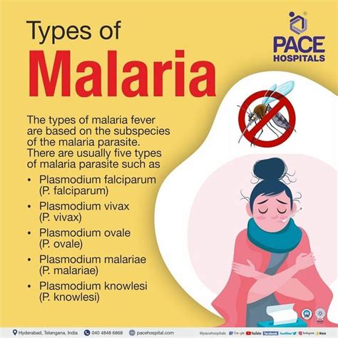 Malaria Symptoms, Causes, Types, Complications Prevention, 48% OFF