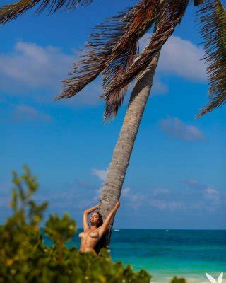 Priscilla Huggins Ortiz Nude Porn Pictures XXX Photos Sex Images 4076857 PICTOA