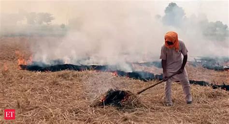 Stubble Burning Punjab Records Highest Rise In 2022 Surpasses Last Year S Figures The