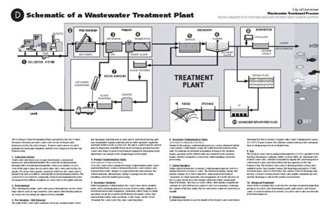 Schematic of a Wastewater Treatment Plant | Sewage Treatment | Environment