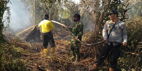 Angin Akses Sulit Hambat Pemadaman Api Yang Bakar Lahan Gambut Di