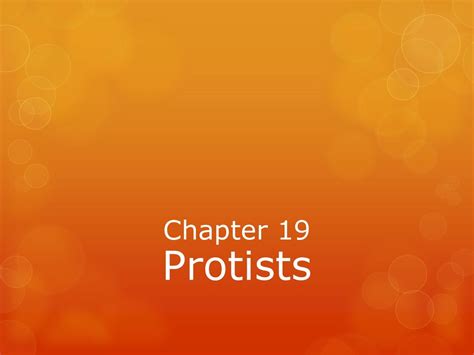 Chapter 19 Protists Ppt Download