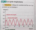 MODULE A2 LE SOMMEIL LES RYTHMES BIOLOGIQUES Flashcards Quizlet