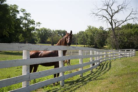 Places To Eat and Things to Do in Shelby County, Kentucky: Social Mixer ...