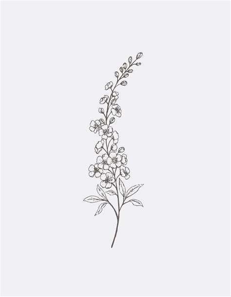 Lilac Tattoo Larkspur Tattoo Line Art Tattoos