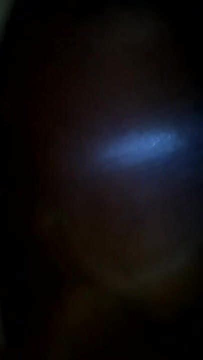 Slut Tasha Free Gay Daddy Porn Video XHamster