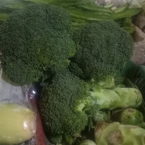 Jual Sayur Brokoli 500 Gram 1 2 Kg Kota Surabaya Toko Sayur Dua