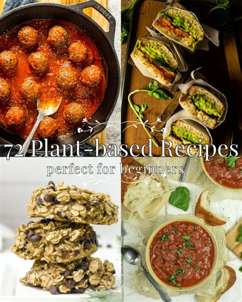 72 Plant-Based Diet Recipes Perfect for Beginners - Shane & Simple