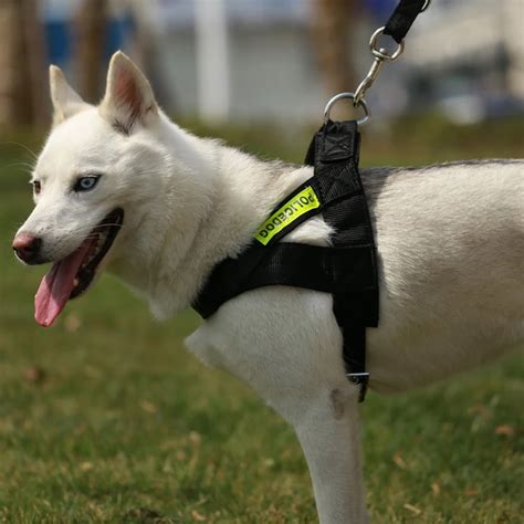 Popular Police Dog Harness-Buy Cheap Police Dog Harness lots from China ...