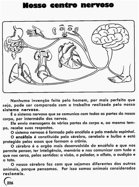 Atividades Sobre Sistema Nervoso 6 Ano Gabarito ROAREDU